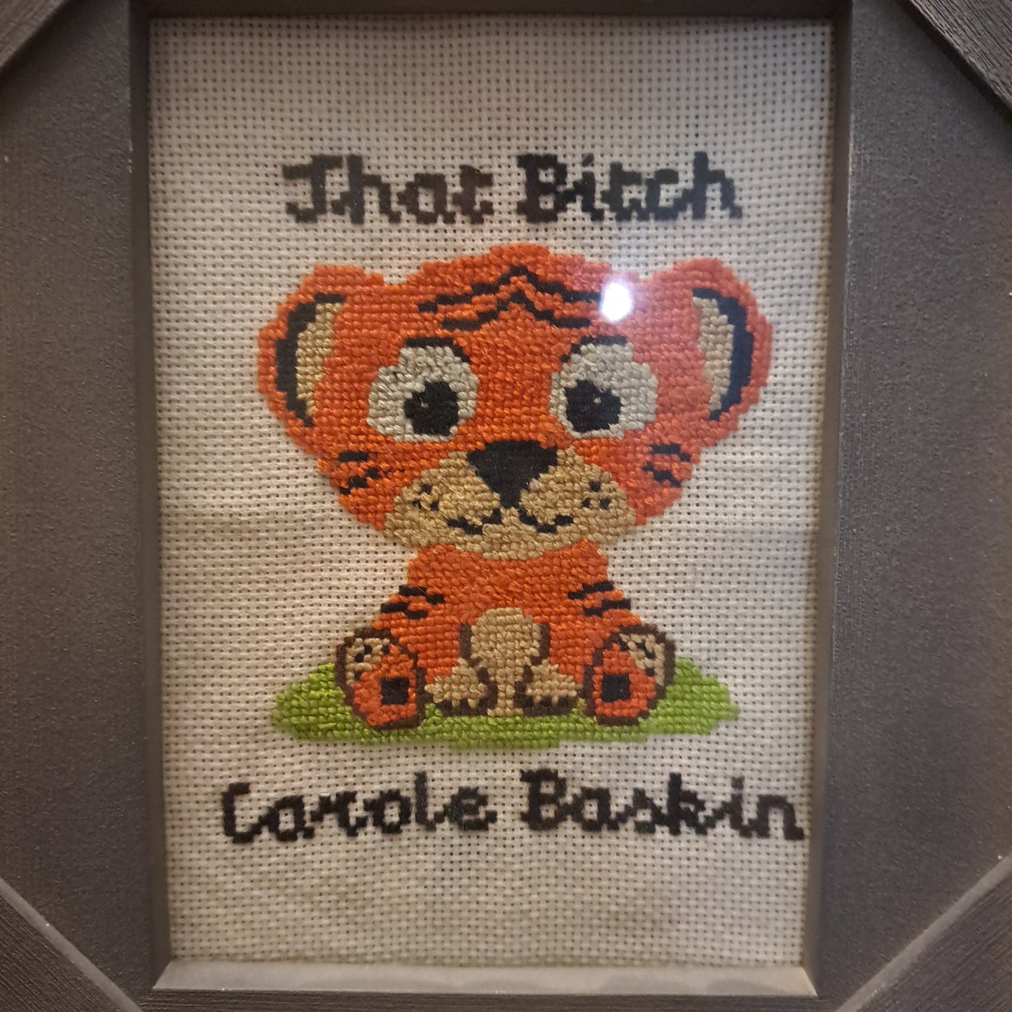 That bitch Carole Baskin stitch